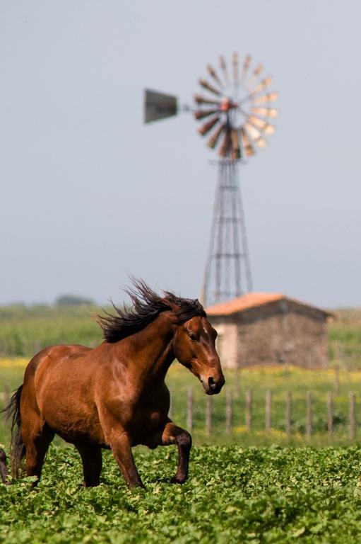 Agriturismo Redipuglia Villa Alberese Luaran gambar